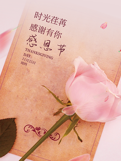 感恩节复古信纸玫瑰花感恩信