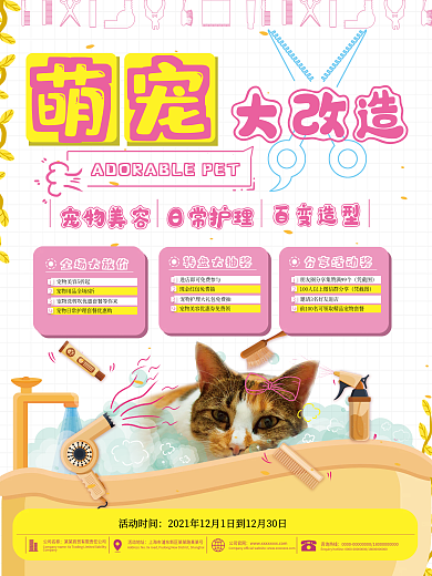 宠物美容洗澡造型促销海报