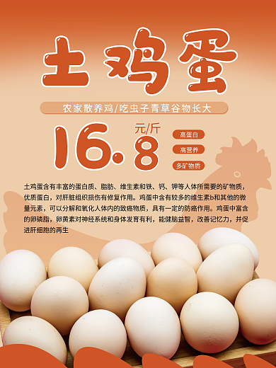 散养鸡土鸡蛋海报
