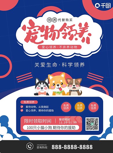 宠物猫咪新手教学指南DM宣传单