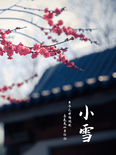 红色梅花清新文艺小雪节气海报