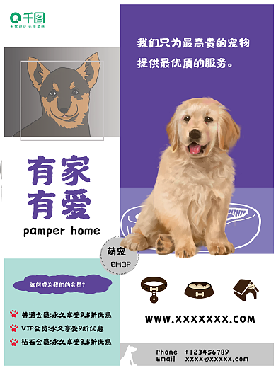 宠物店海报萌宠狗狗宣传海报VIP会员
