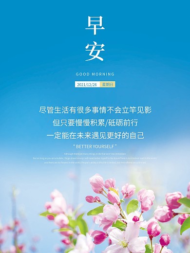 早安海报小清新简约花卉摄影配图朋友圈日签