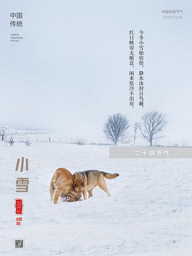 二十四节气小雪海报