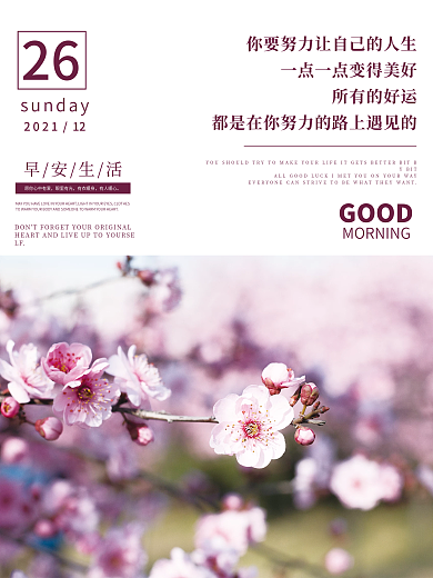 小清新早安海报正能量鸡汤心语日签花卉配图