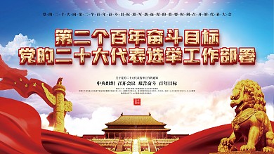 党的二十大代表选举工作宣传展板