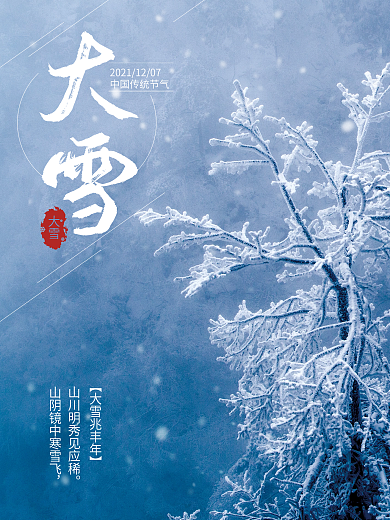 大雪24节气传统节气冬日海报冷色冰天雪地