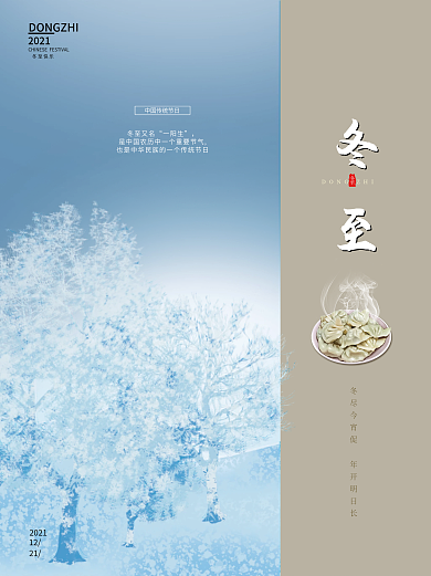 传统节气简约冬至大小雪吃美食饺子美雪景