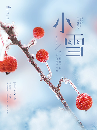 简约小雪大雪节气节日海报
