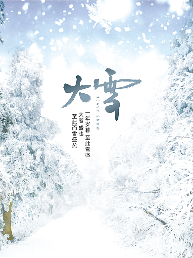创意简约传统大雪节日摄影图雪花下雪海报