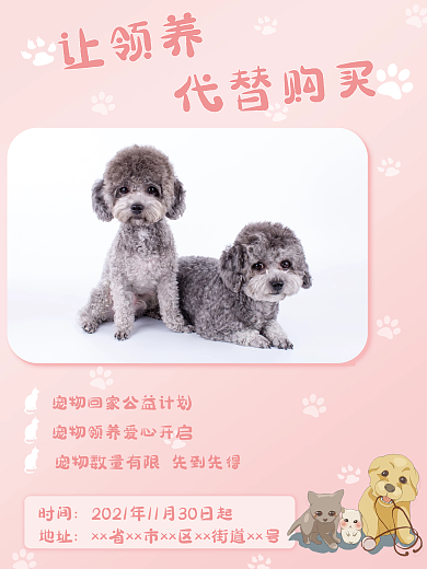 可爱宠物领养海报