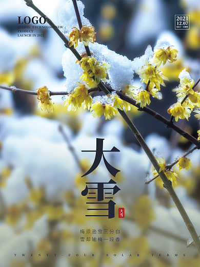 创意摄影图大雪节日海报