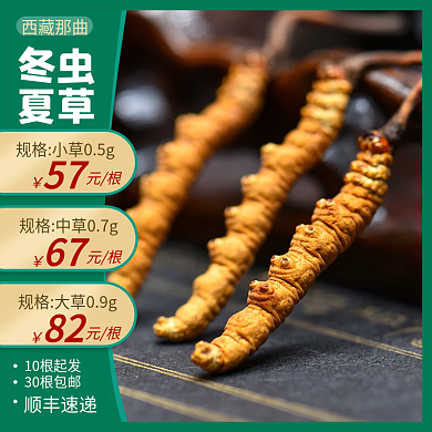 电商淘宝大气时尚产品主图