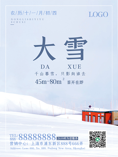 中国节气简约摄影节日大雪冬季地产海报