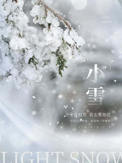 创意简约意境小雪节气传统节日摄影海报