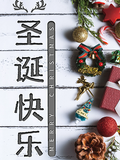 圣诞节日海报礼物松果圣诞树鹿角简约扁平白