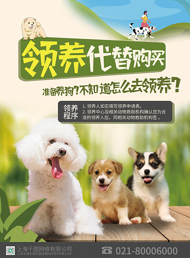 宠物狗喂养家养新手教学指南DM宣传单