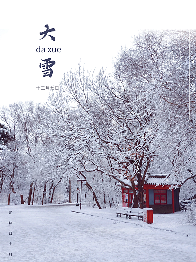 大雪海报简约二十四节气冬季