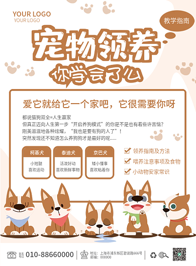 宠物小知识教学技巧指南DM宣传单