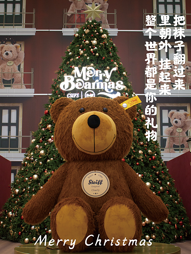 圣诞节照片海报挂旗