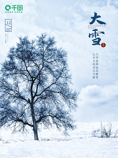 大雪摄影图节气海报借势海报设计