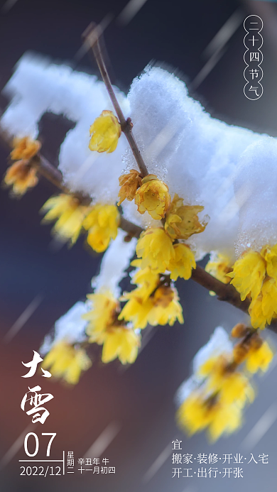 小清新摄影风中国风梅花山水大雪节气海报