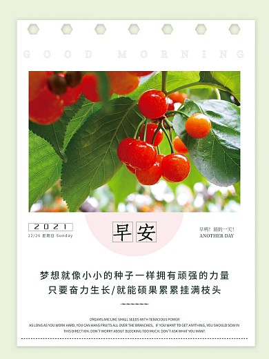 正能量早安海报鸡汤语录日签植物摄影配图
