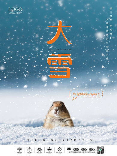二十四节气大雪创意摄影海报