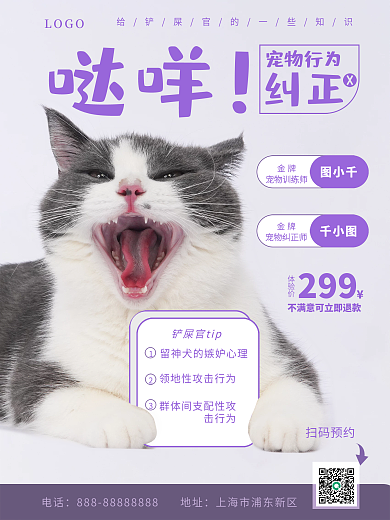 宠物行为纠正宠物训练宣传海报