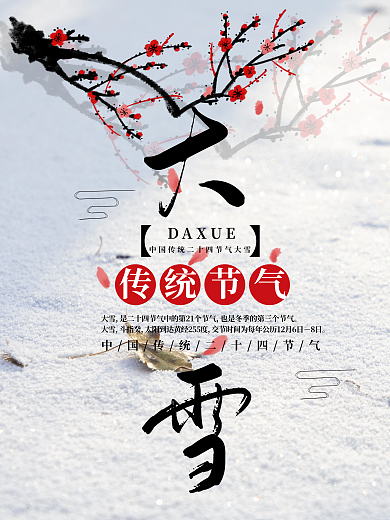 中国二十四节气大雪 宣传海报