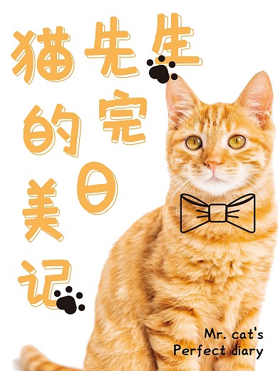 猫先生的完美日记