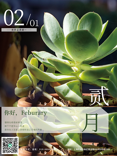 极简文艺二月月签多肉植物正能量摄影图海报