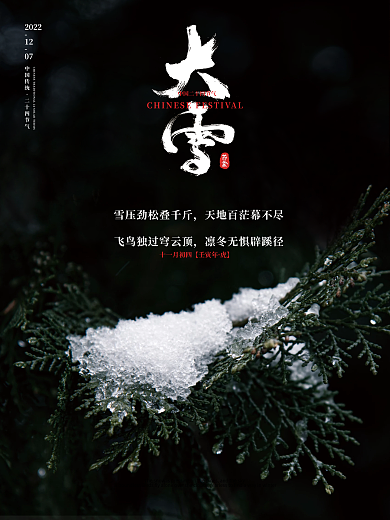 大雪摄影图传统二十四节气海报