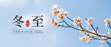 冬至24节气梅花公众号封面头图摄影图简约