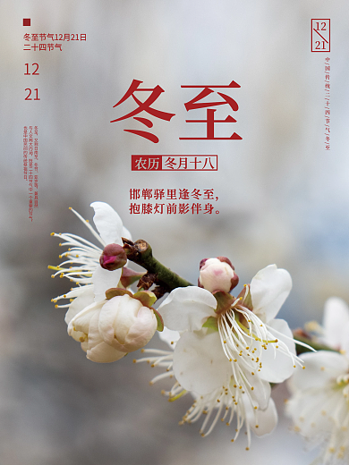 简约二十四节气冬至冬天梅花节日海报