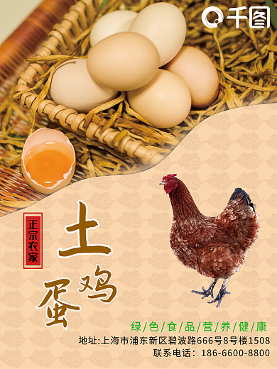 正宗农家土鸡蛋产品海报