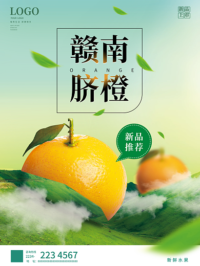 简约赣南脐橙海报