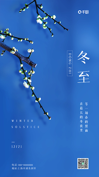 冬至节气梅花实拍风手机海报