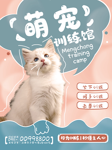 宠物训练行为纠正海报粉色蓝色