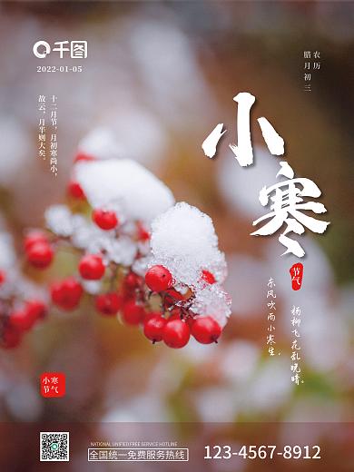 简约小寒节气摄影图海报二十四节气小寒节气