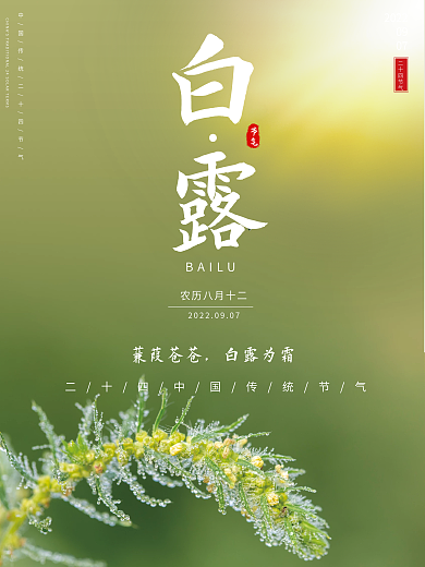 二十四节气白露 中国传统节日 露水 霜