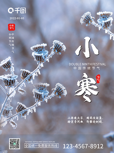 简约大气小寒节气二十四节气摄影图宣传海报