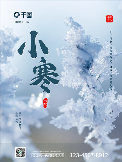 简约大气小寒雪花摄影图小寒二十四节气海报