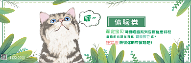 猫咪宠物萌宠体验券优惠券