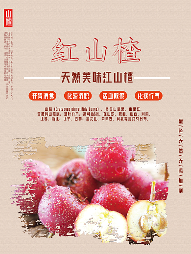 简约红山楂海报山楂果