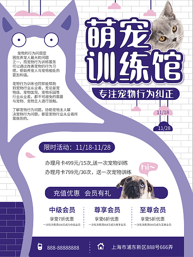 宠物训练行为纠正宣传海报