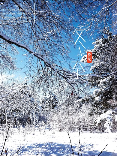 冬至雪景海报小清新