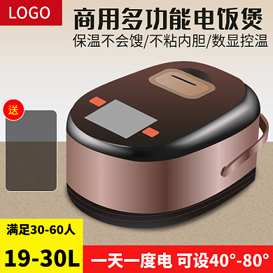 简约多功能电饭煲家用电器促销主图车图