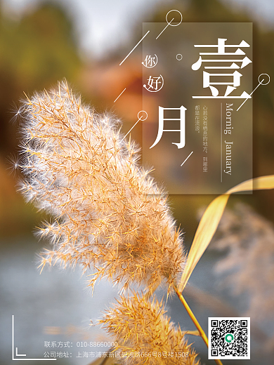 极简创意你好壹月麦穗正能量励志摄影图海报