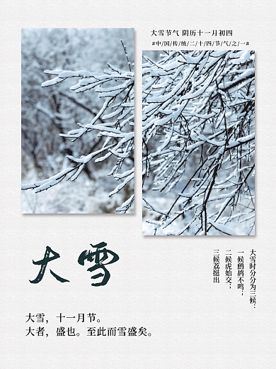 二十四节气大雪树枝落雪海报